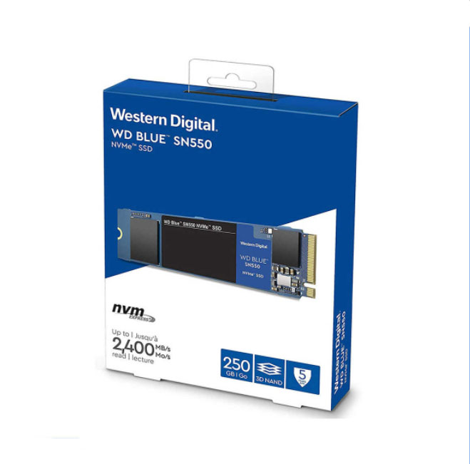 ssd m2 wd 250gb box